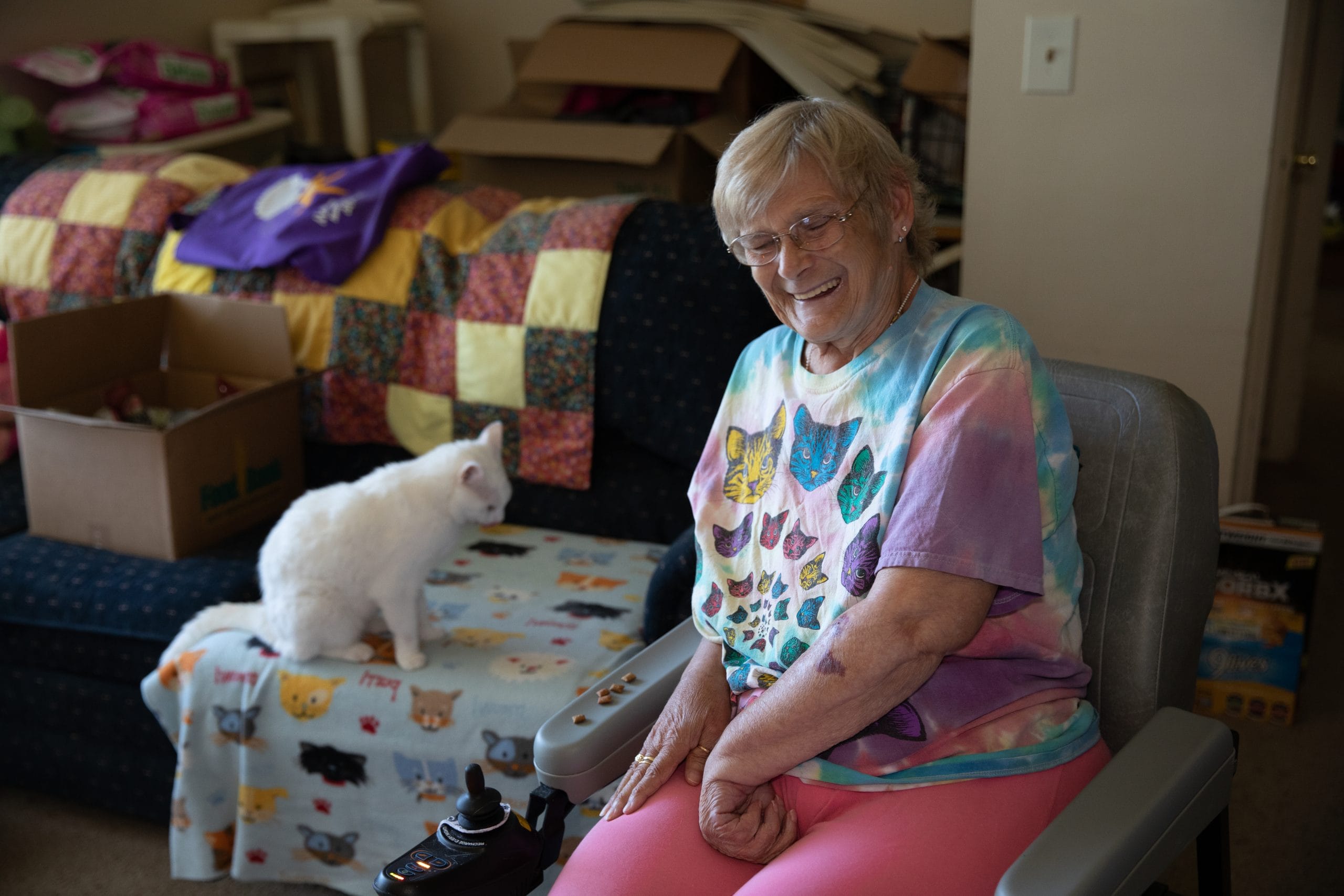 1020MOWA_Cats_DE-5682